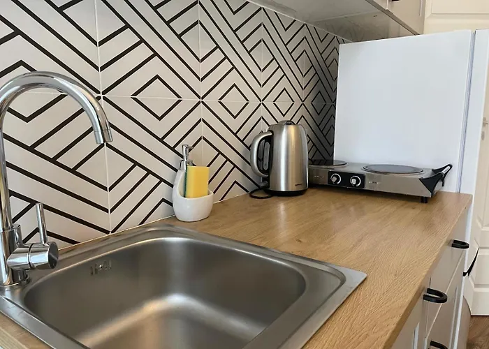 公寓 Studio Przy Molo Z Balkonem I Parkingiem 索波特